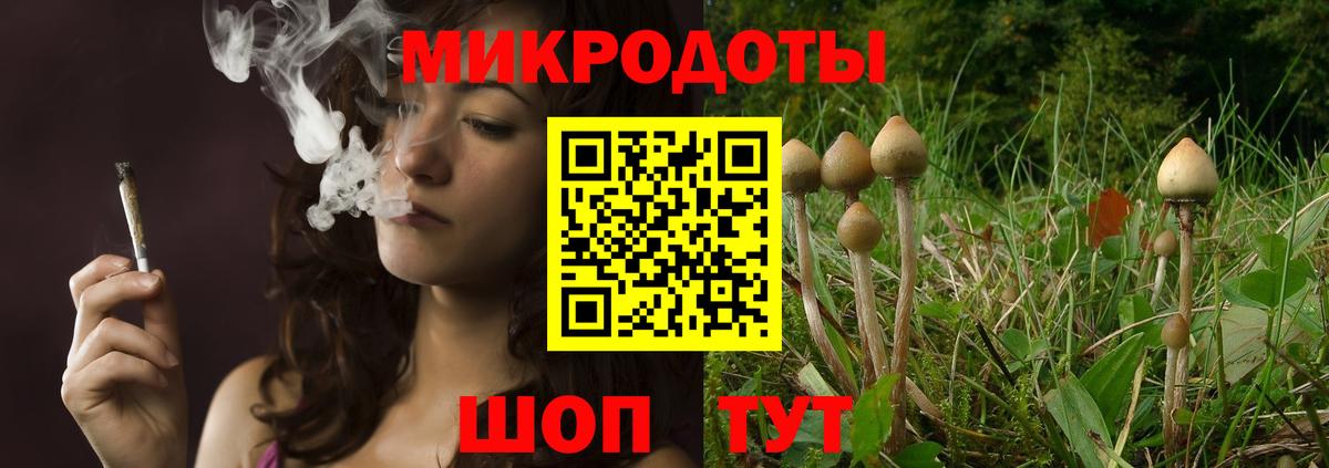 Псилоцибиновые грибы Psilocybine cubensis Костомукша
